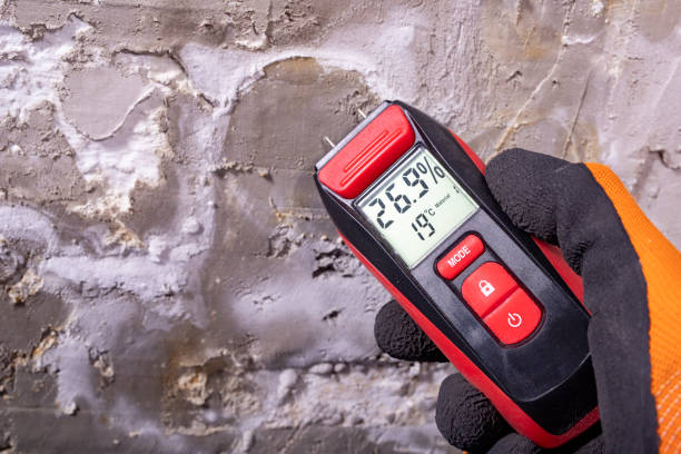 Best Certified Mold Removal  in Holiday Heights, NJ