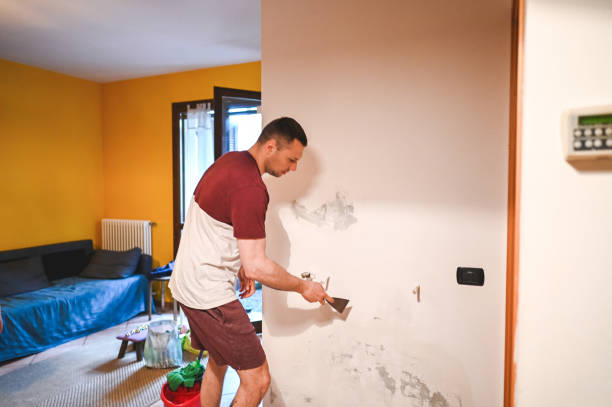 Mold Testing and Removal in Holiday Heights, NJ